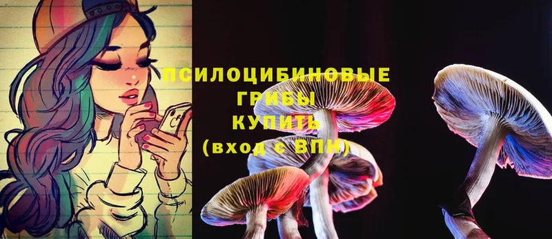 Псилоцибиновые грибы Magic Shrooms  omg рабочий сайт  Катайск 